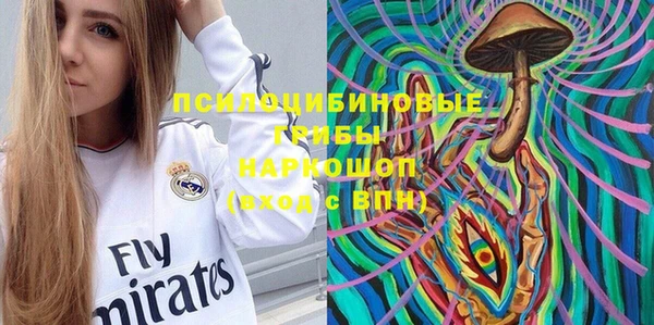 МДПВ Алзамай