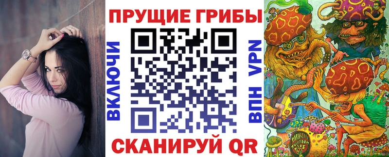купить   Углич  Псилоцибиновые грибы Cubensis 